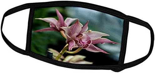 3. cvjetne ružičaste orhideje-pokrivači za lice