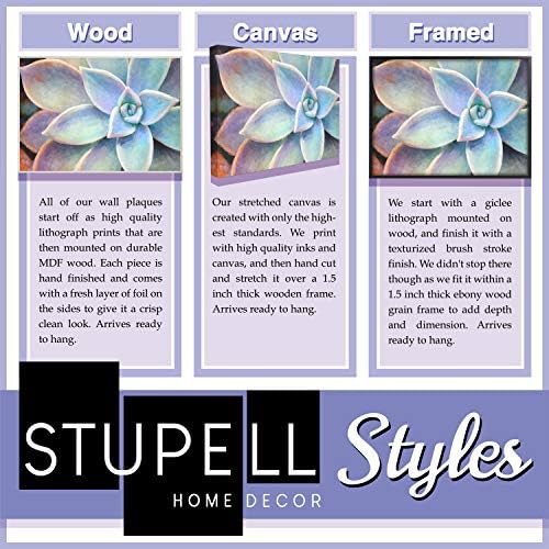 Stupell Industries mače radi pranje rublja rastegnuto platno zidna umjetnost, ponosno napravljeno u SAD -u