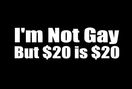 Nisam homoseksualac, ali 20 dolara je 20 smiješnih vinilnih naljepnica / Automobili, kamioni, kombiji, zidovi, prijenosno računalo