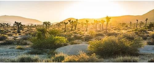 Vinilna podloga za terarij od 90 do 12 inča plavo nebo planinski kaktus drvo Joshua sunce Gobi i pustinjsko stanište gmazova