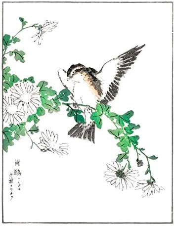 Japanski botanički otisci Ink Inc. | Japanski minimalistički stil | Cvijeće i ptice | Set od 6 8x10 neradano