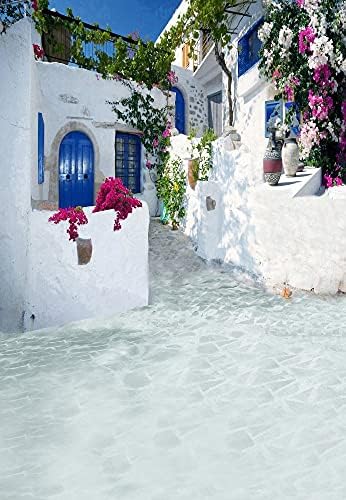 Grčka pozadina Egejsko more Grčka arhitektura prirodni krajolik pozadina za fotografiranje kuća od bijelog kamena cvijeće Valentinovo