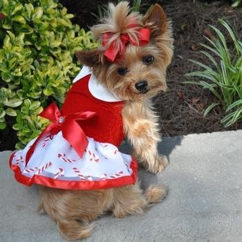 Doggie Design Holiday Dog Haress haljina - Candy Canes