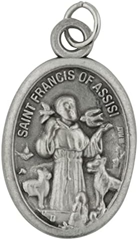 5 pakiranja svetog Francisca iz Assisi ovalnih medalja za kućne ljubimce | Blagoslovi i zaštiti mog ljubimca | Zaštitnik životinja