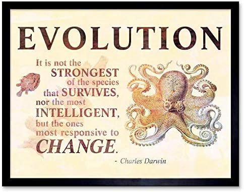 Wee Blue Coo Evolution Darwin Responsive Promjena najjači citat Octopus Unframed Wall Art Tiska