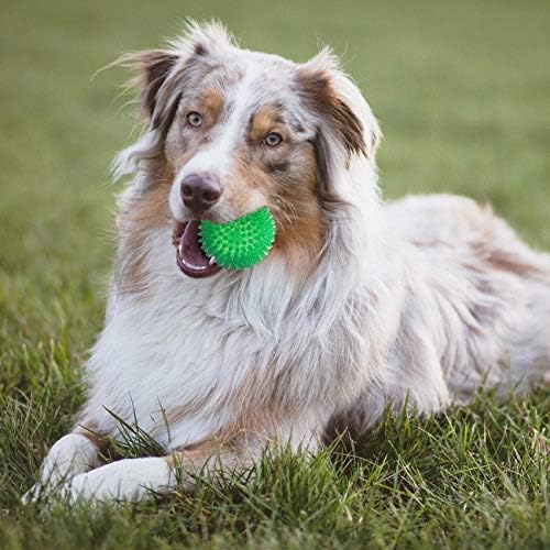 Igračke za pse, Škripave žvakaće kuglice za pse s ultra elastičnom, izdržljivom gumom, igračke za pse za štenad i čišćenje zuba za