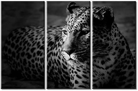 Tumovo platno slikanje zidne umjetnosti leopard platno ispisuje crno -bijele životinje fotografije divljih životinja slike umjetnička
